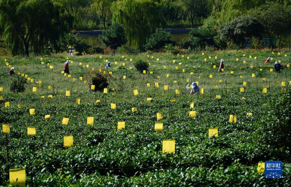 新永盈会